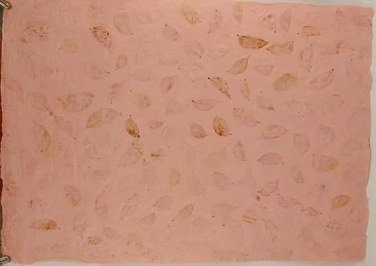 Indipaper - baby pink benjamin (baby pink benjamin)