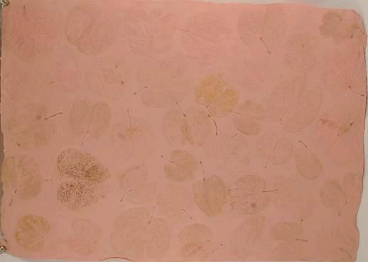 Indipaper - baby pink heart leaf (baby pink heart leaf)