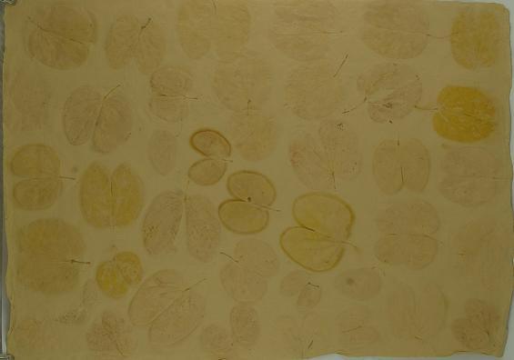 Indipaper - kandana heart leaf (kandana heart leaf)