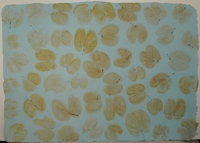 Indipaper - light blue heart leaf (light blue heart leaf)